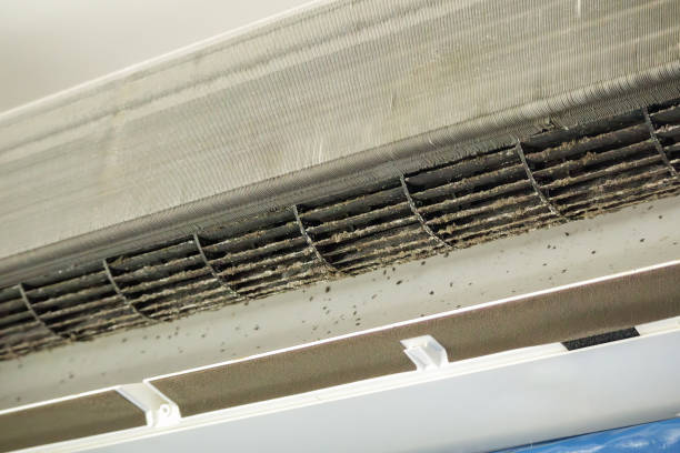 Best HVAC Duct Inspection Services  in Gibbsboro, NJ